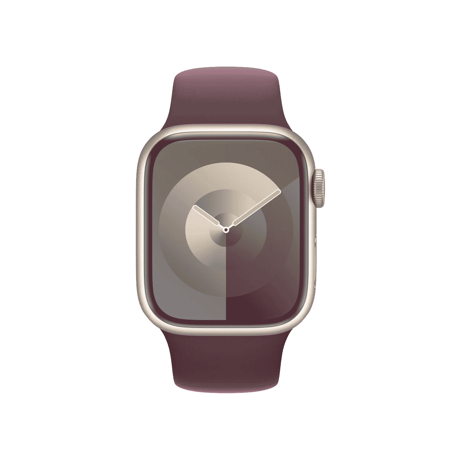 41mm Mulberry Sport Band - M/L