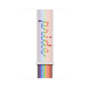 45mm Pride Edition Sport Loop