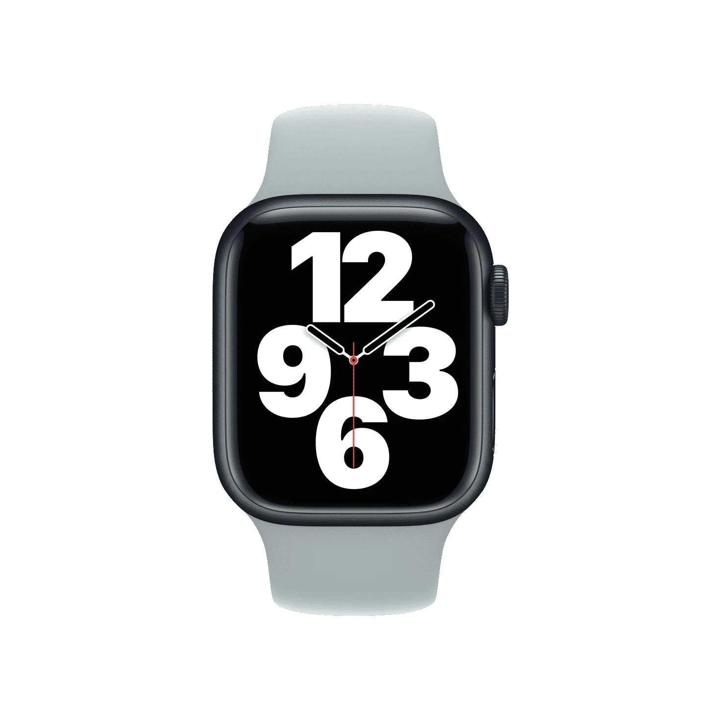 41mm Succulent Sport Band