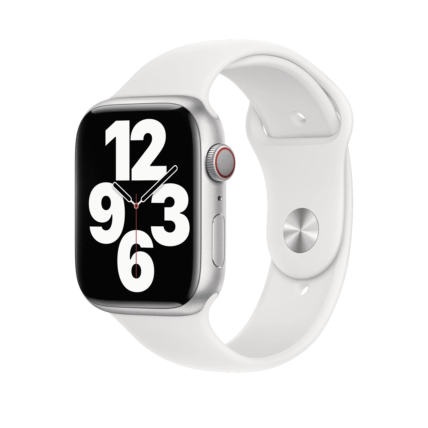 45mm White Sport Band