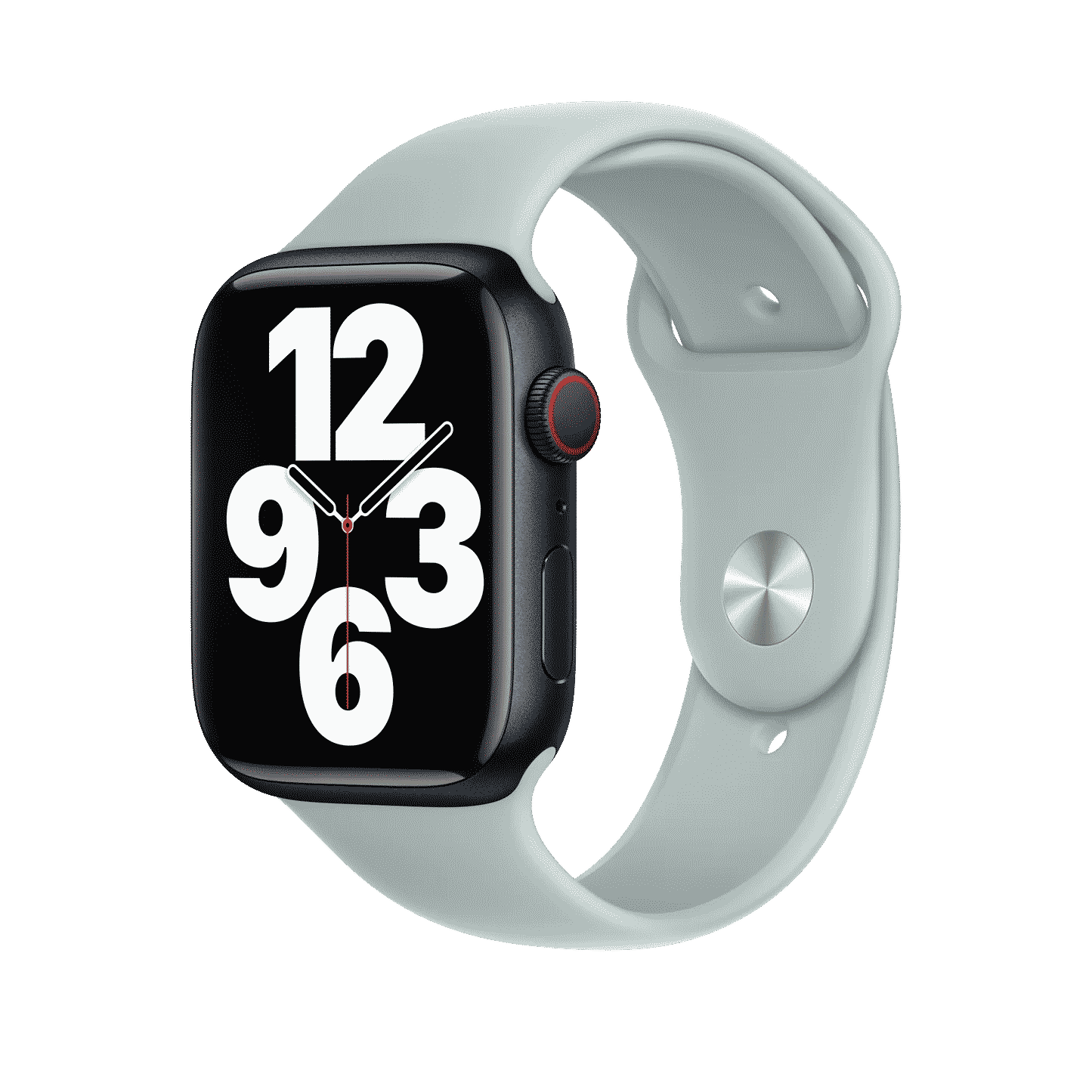 45mm Succulent Sport Band