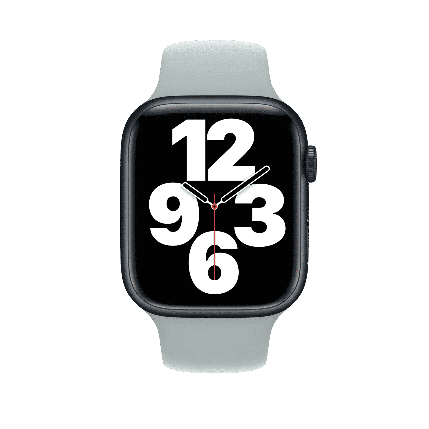 45mm Succulent Sport Band