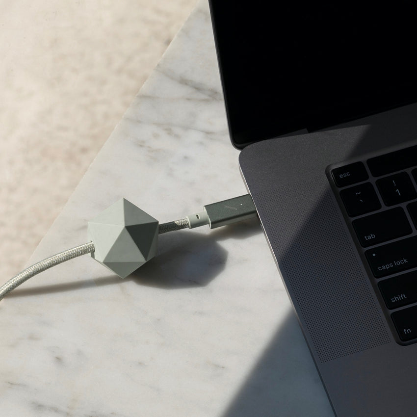 Nativeunion Desk Cable Type C to C Pro 2.4M - Sage