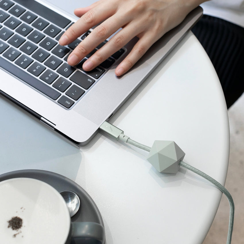 Nativeunion Desk Cable Type C to C Pro 2.4M - Sage
