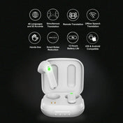 TIMEKETTLE WT2 Edge Online Version - White