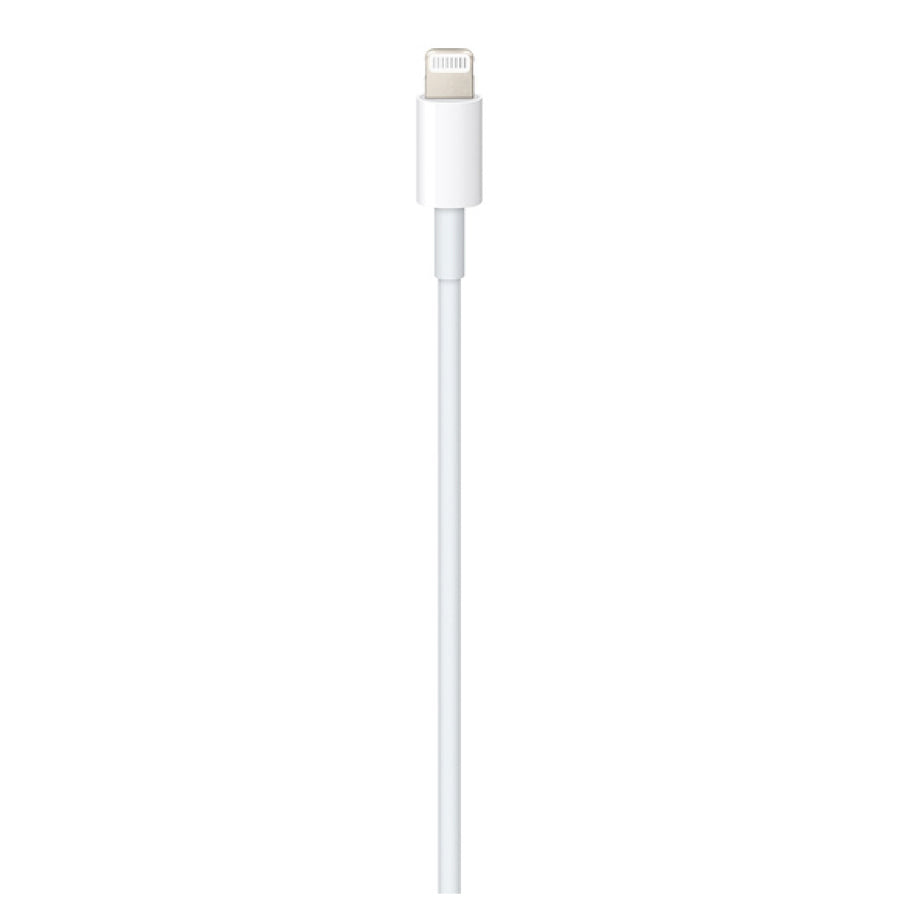 Apple Lightning to USB-C Cable (2 m)